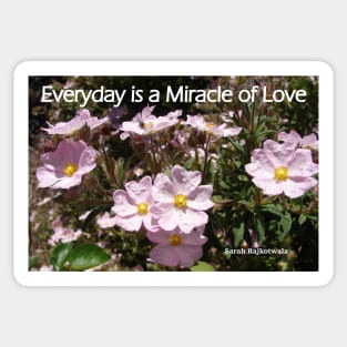 Everyday is a Miracle of Love - Pink floral Inspirational Quote Sticker